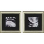 Helix Prints - Assorted