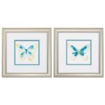 Butterfly Traces Print