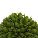 Vinyl Leaf Ball in Pot - Image 3