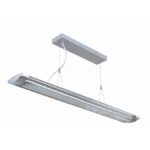 Devika 2 Light 49 inch Silver and Clear Pendant Ceiling Light