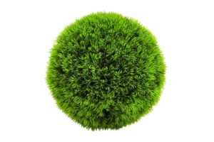 Vinyl Grass Ball - Image 3