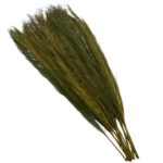 Green Dried Plant Leaves Natural Foliage with Feather Inspired Stems - Image 2