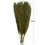 Green Dried Plant Leaves Natural Foliage with Feather Inspired Stems - Image 3