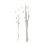 White Dried Plant Palm Natural Foliage, 2 Assorted - Image 3