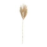 Brown Dried Plant Palm Leaf Tall Home Decor Natural Foliage with Grass - Image 2